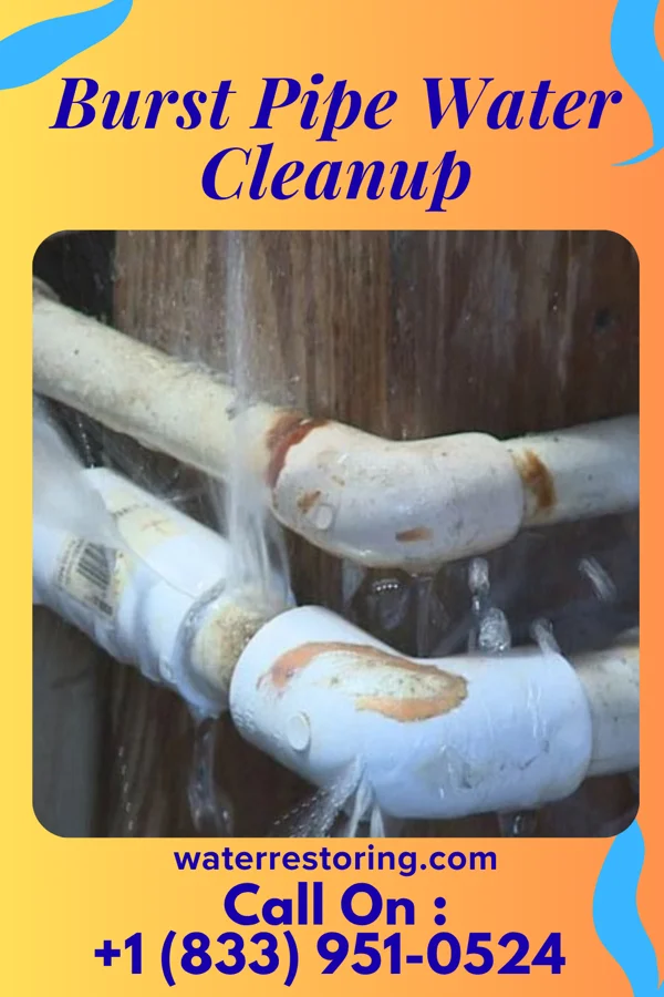 Burst Pipe Water Cleanup in Monrovia, IN