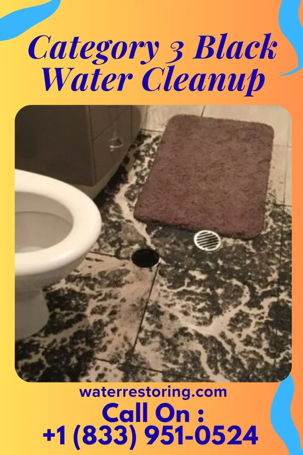 Category 3 Black Water Cleanup in Monrovia, IN