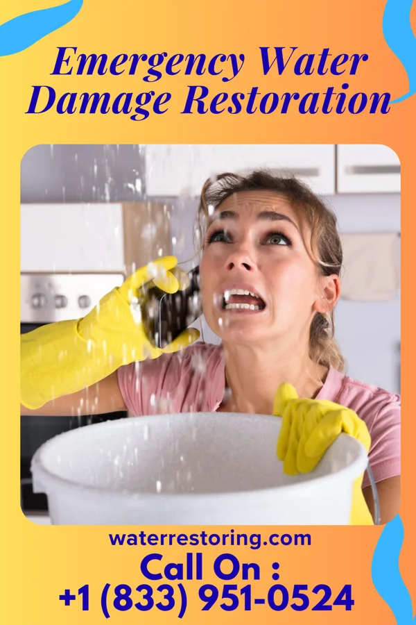 Emergency Water Damage Restoration in Monrovia, IN