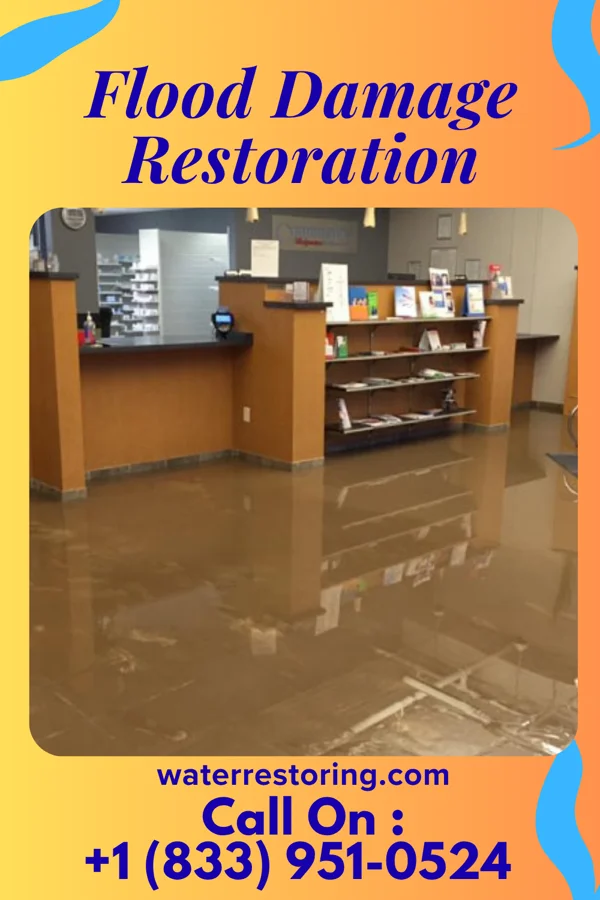 Flood Damage Restoration in Monrovia, IN
