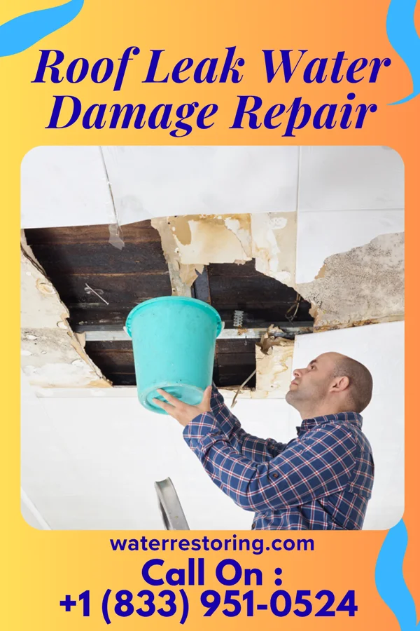 Roof Leak Water Damage Repair in Monrovia, IN