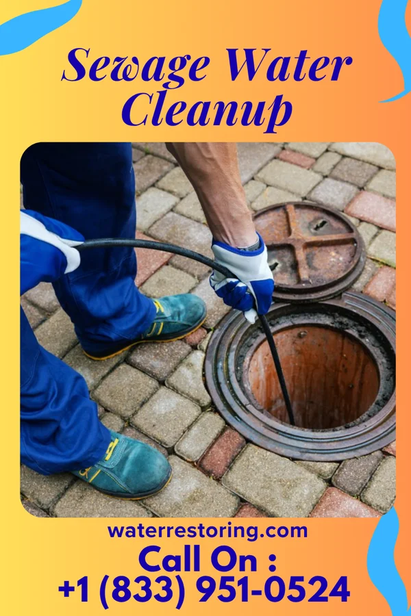 Sewage Water Cleanup in Monrovia, IN