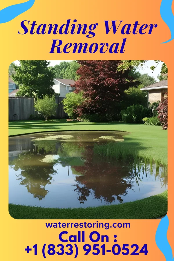 Standing Water Removal in Monrovia, IN